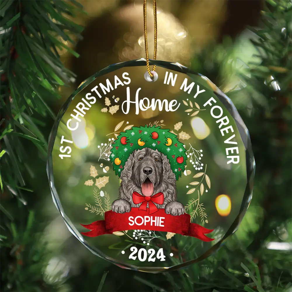 1st Christmas In My Forever Home - Personalized Circle Glass Ornament - Image 3