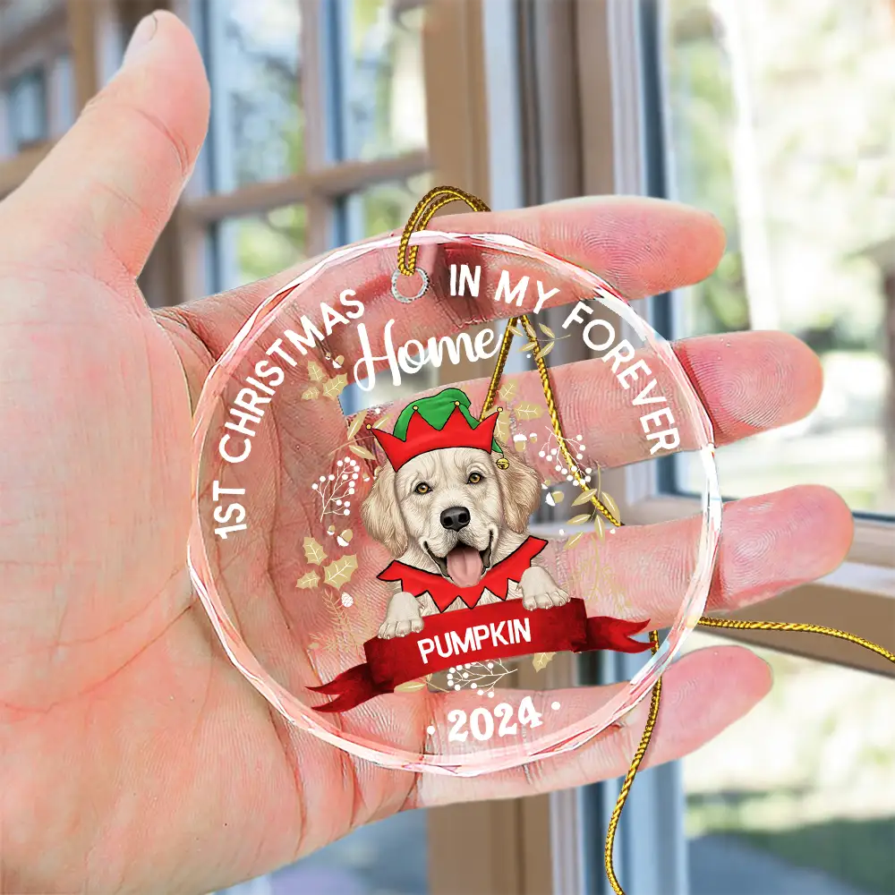 1st Christmas In My Forever Home - Personalized Circle Glass Ornament - Image 4