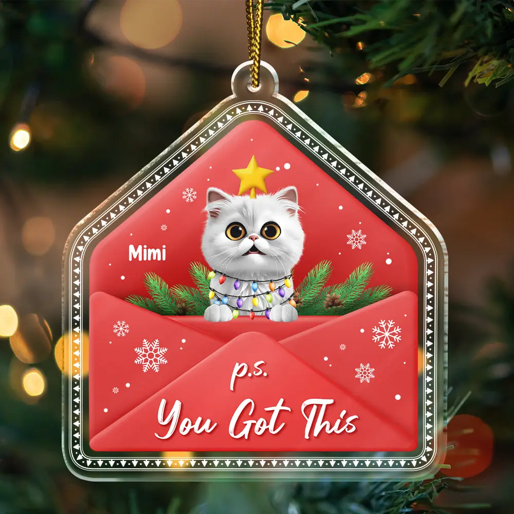 3D Effect Dog Cat P.s. You Got This - Personalized Custom Shaped Acrylic Ornament - Image 3