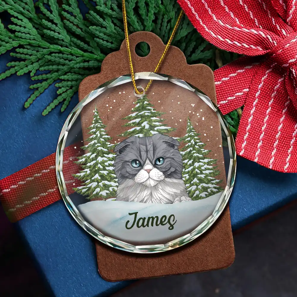 Best Friend For Life Christmas Memorial Dog Cat - Personalized Circle Glass Ornament - Image 5