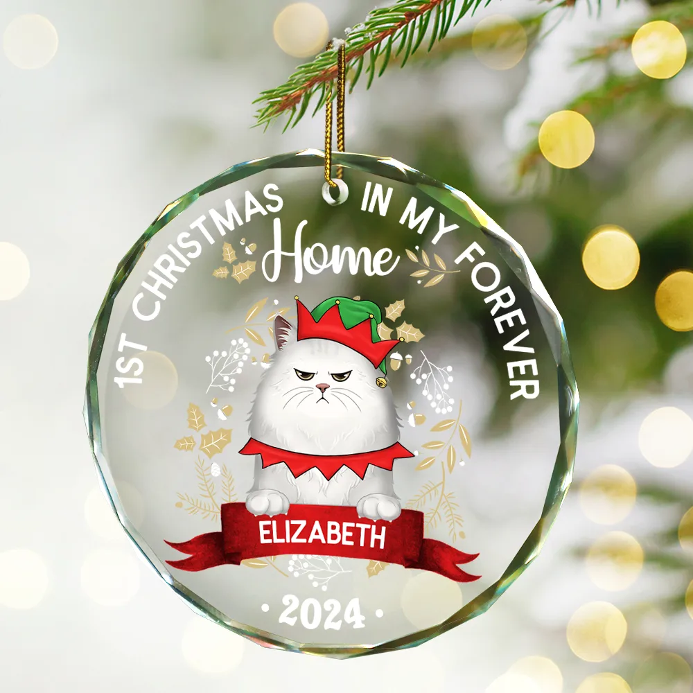 Cat 1st Christmas In My Forever Home - Personalized Circle Glass Ornament - Image 2