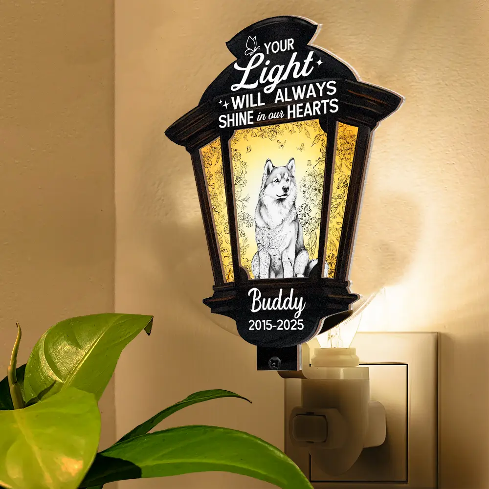 Chinoiserie Toile Dog Your Light Will Always Shine - Personalized Plug-in Night Light - Image 5