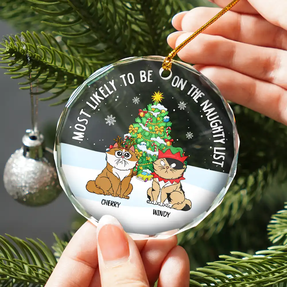 Christmas Funny Cartoon Cats On The Naughty List - Personalized Circle Glass Ornament - Image 2