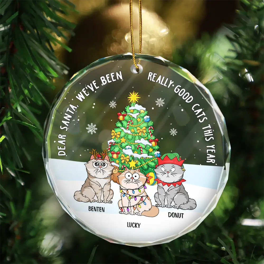 Christmas Funny Cartoon Cats On The Naughty List - Personalized Circle Glass Ornament - Image 3