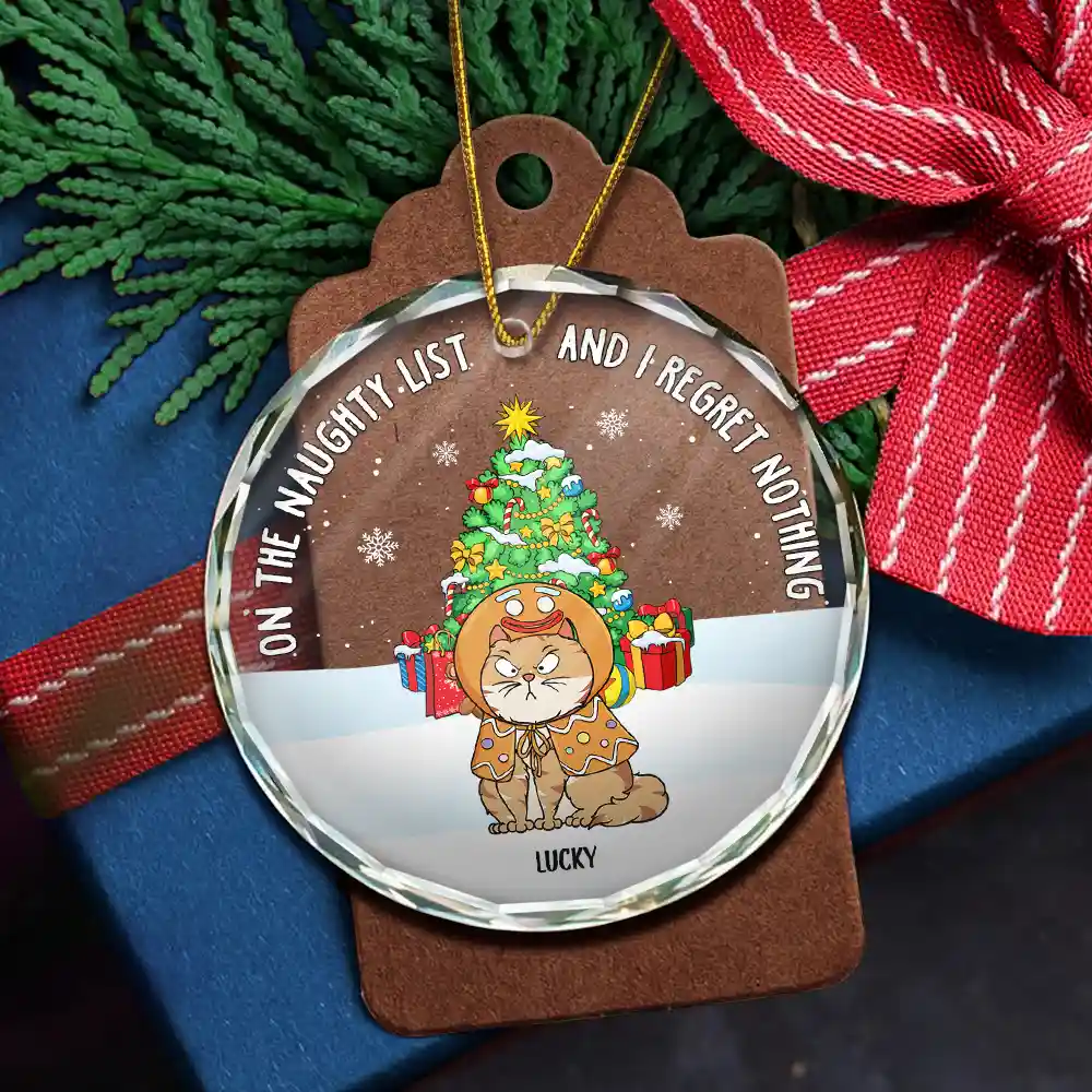 Christmas Funny Cartoon Cats On The Naughty List - Personalized Circle Glass Ornament - Image 5