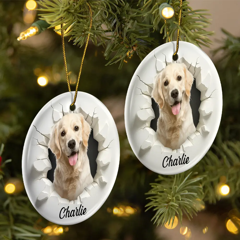 Custom Photo 3D Effect Snow Funny Dog Cat Pet - Personalized Circle Ceramic Ornament - Image 3