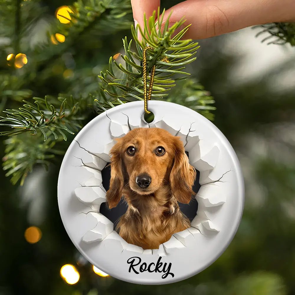Custom Photo 3D Effect Snow Funny Dog Cat Pet - Personalized Circle Ceramic Ornament - Image 4