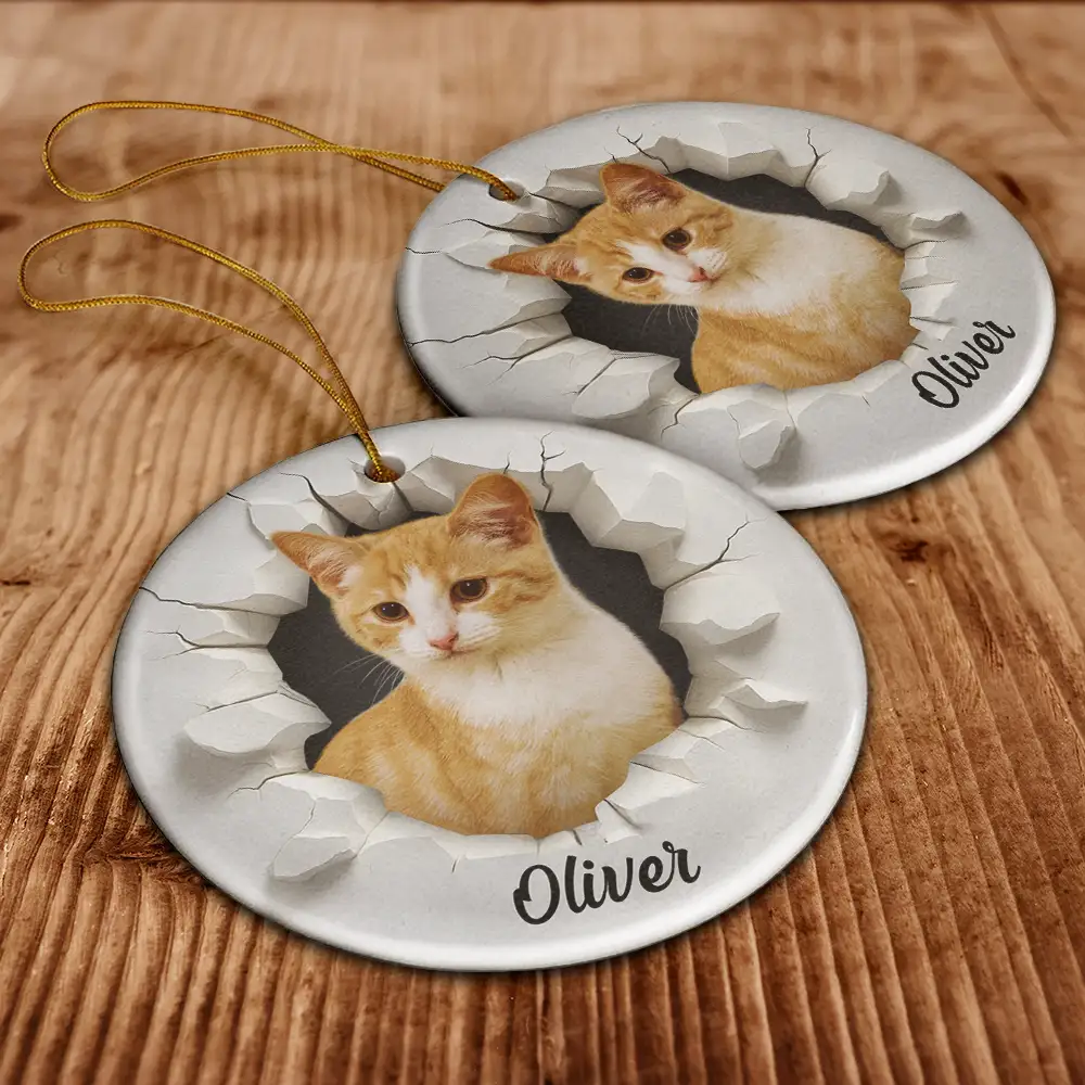 Custom Photo 3D Effect Snow Funny Dog Cat Pet - Personalized Circle Ceramic Ornament - Image 7