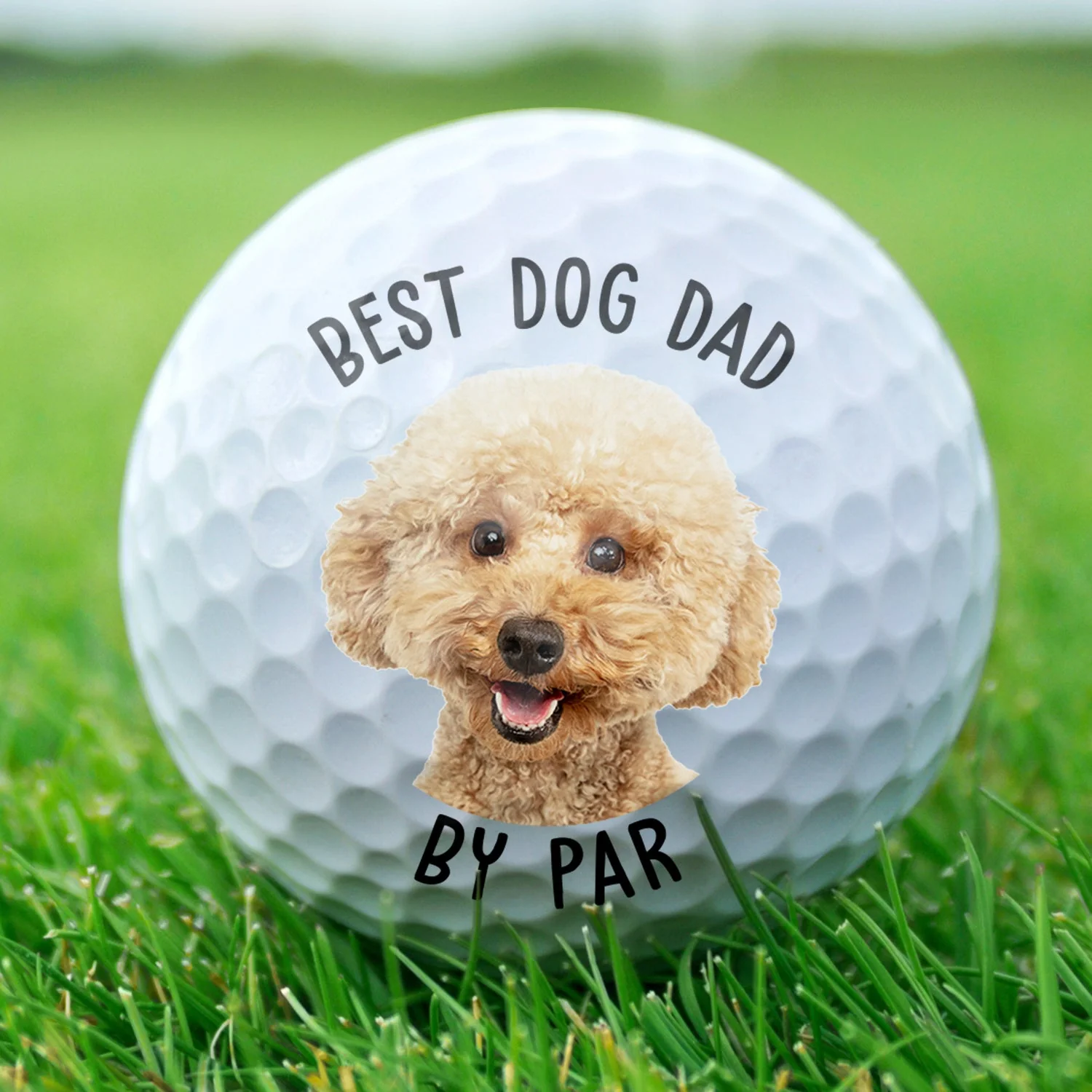 Custom Photo Best Dad By Par - Gift For Father, Grandpa, Dog Dad, Cat Dad - Personalized Golf Ball - Image 3
