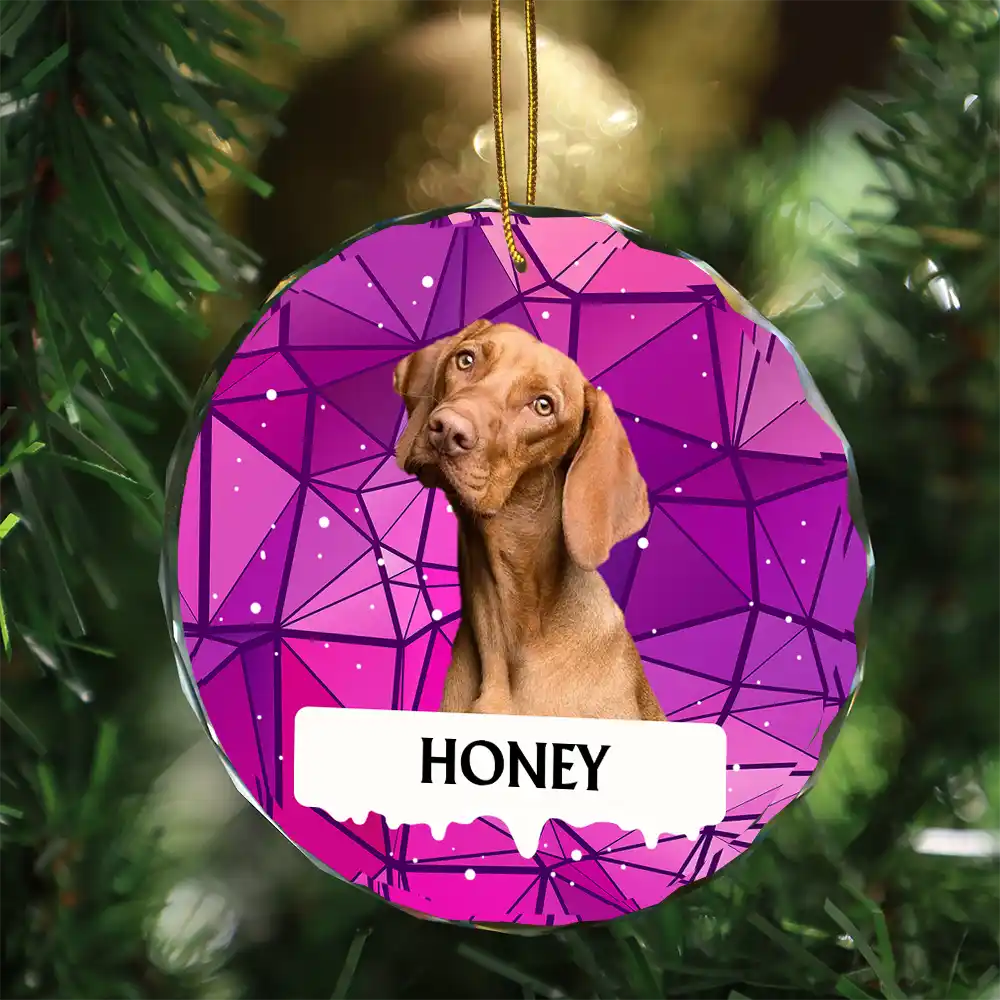 Custom Photo Best Friend For Life Christmas Memorial Dog Cat - Personalized Circle Glass Ornament - Image 4
