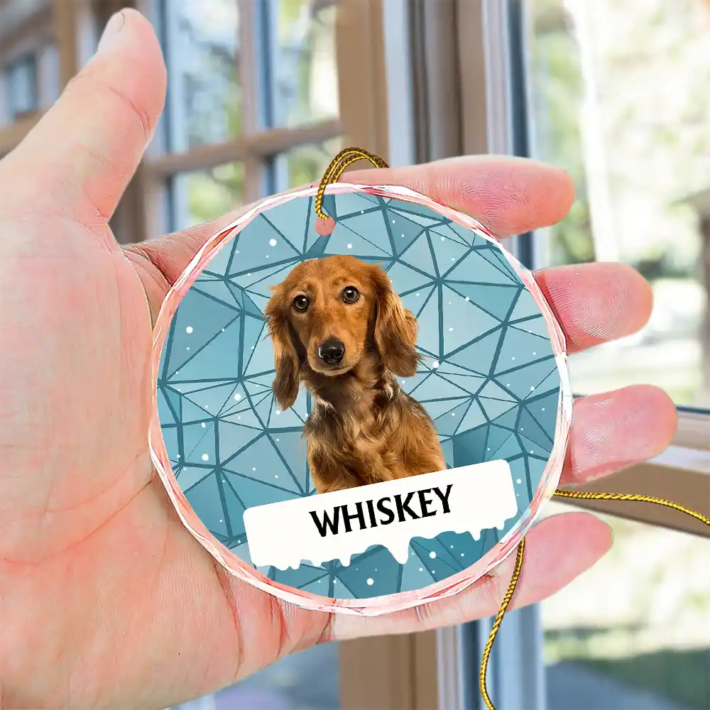 Custom Photo Best Friend For Life Christmas Memorial Dog Cat - Personalized Circle Glass Ornament - Image 5