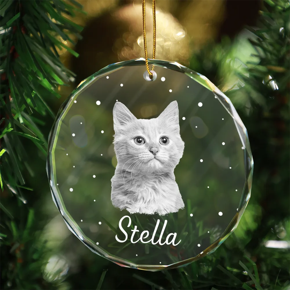 Custom Photo Christmas Gift For Family, Pet Lovers, Bestie - Personalized Circle Glass Ornament - Image 4