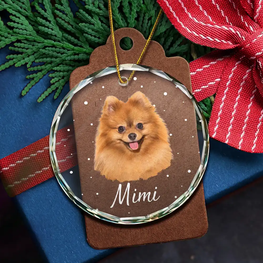 Custom Photo Christmas Gift For Family, Pet Lovers, Bestie - Personalized Circle Glass Ornament - Image 6