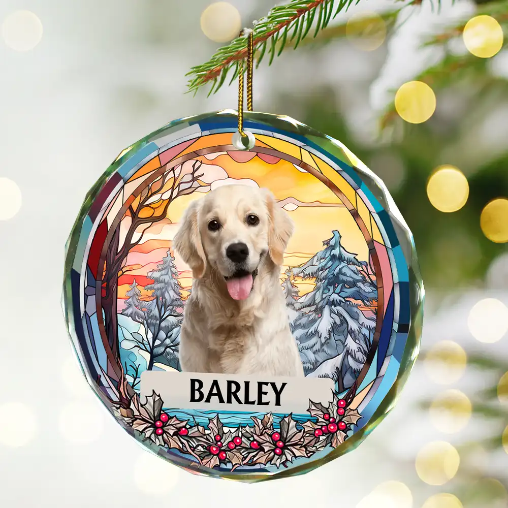 Custom Photo Christmas Memorial Family Dog Cat - Personalized Circle Glass Ornament - Image 3