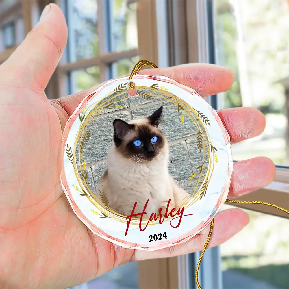 Custom Photo Christmas Pet Memorial Pet First Christmas - Personalized Circle Glass Ornament - Image 4