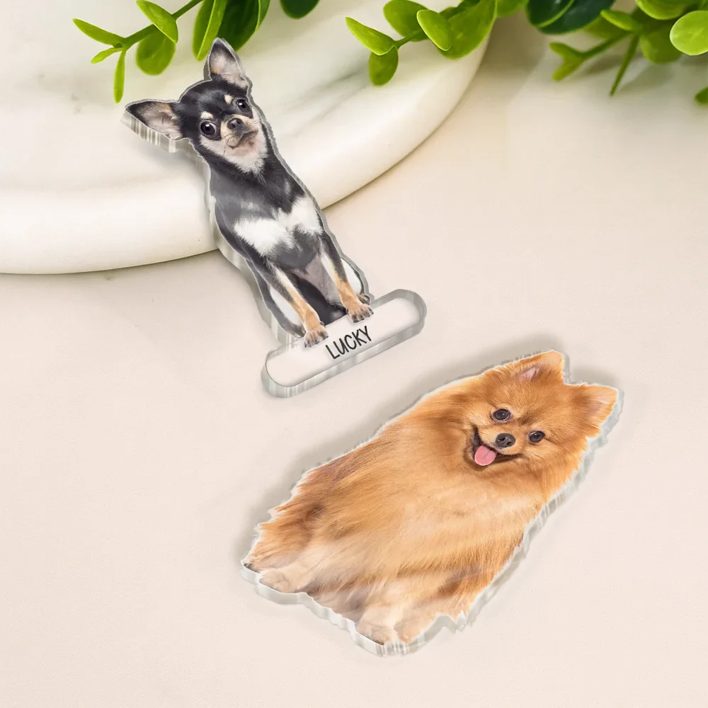 Custom Photo Cute Dog And Cat Gift For Pet Lovers - Personalized Acrylic Fridge Magnet - Image 5