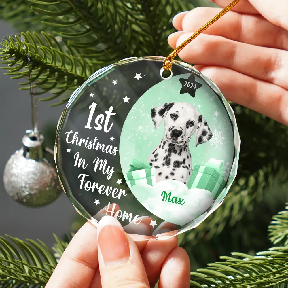 Custom Photo Dog Cat 1st Christmas In My Forever Home - Personalized Circle Glass Ornament - Image 3