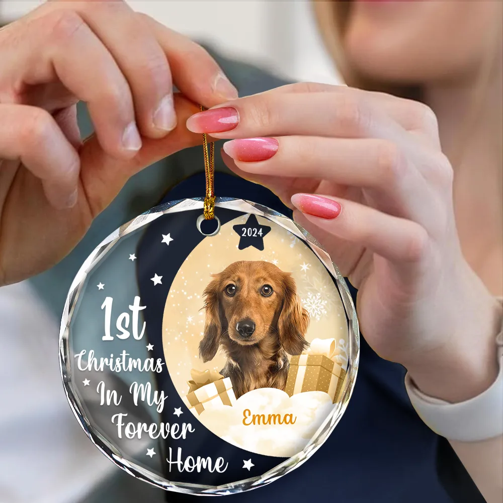 Custom Photo Dog Cat 1st Christmas In My Forever Home - Personalized Circle Glass Ornament - Image 5
