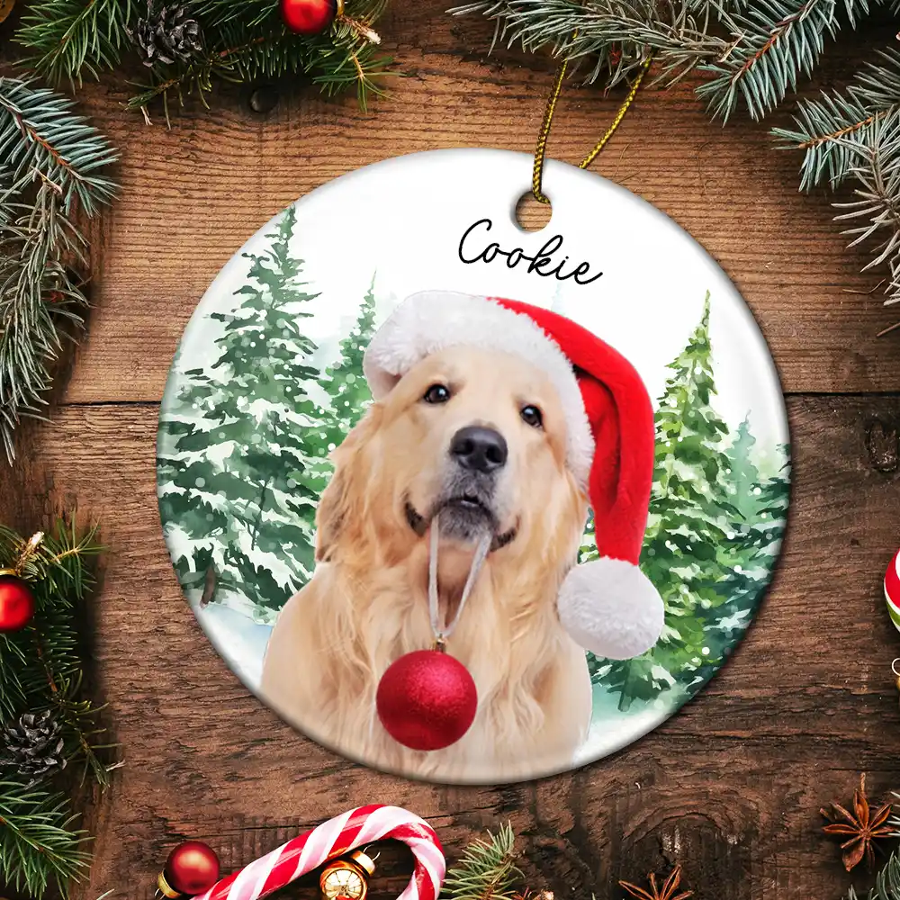 Custom Photo Dog Cat Christmas - Personalized Circle Ceramic Ornament - Image 6