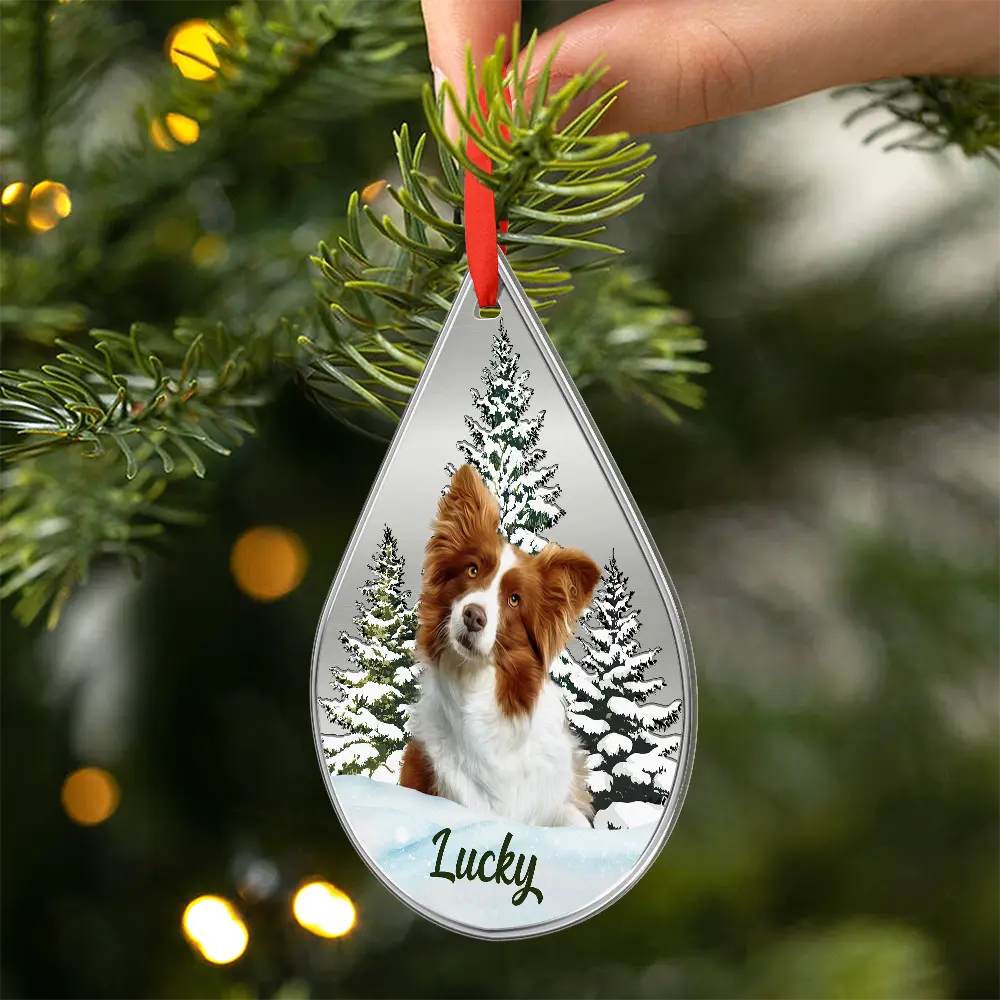 Custom Photo Dog Cat Face Pet Lover Memorial - Personalized Metal Ornament - Image 3