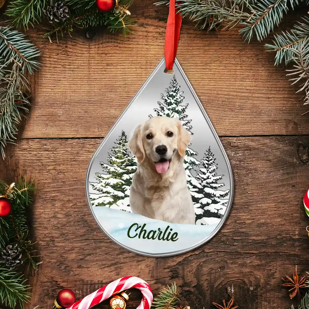 Custom Photo Dog Cat Face Pet Lover Memorial - Personalized Metal Ornament - Image 6