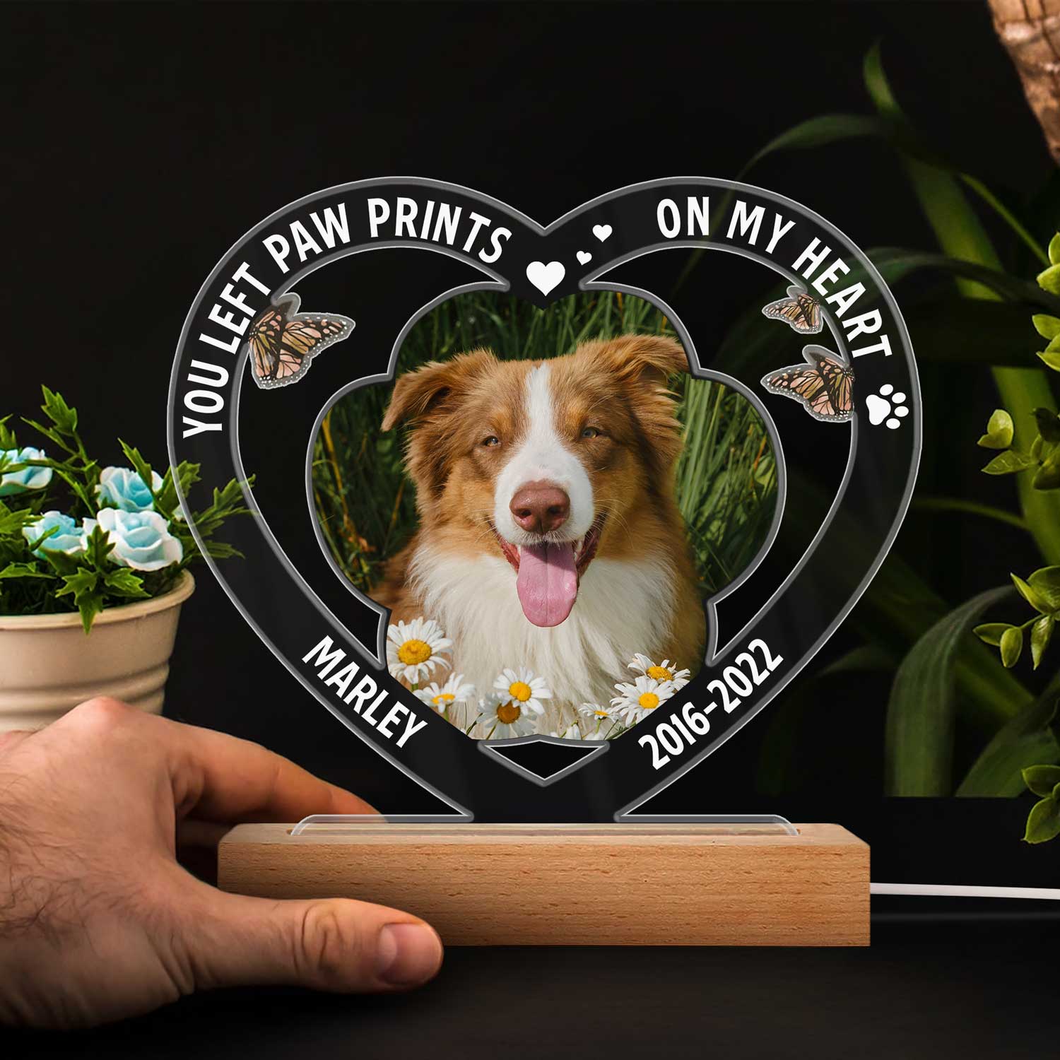 Custom Photo Dog Cat My Favorite Hello & Hardest Goodbye - Pet Memorial Gift, Sympathy Gift - Personalized 3D Led Light Wooden Base - Image 4