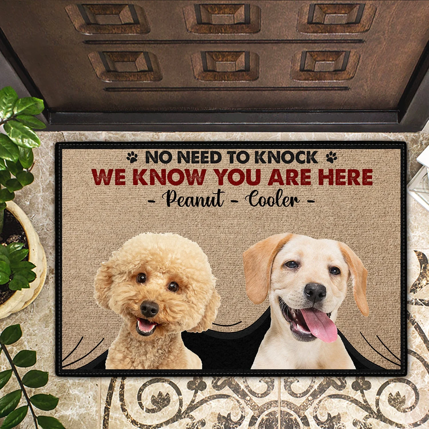 Custom Photo Dog Cat No Need To Knock - Gift For Pet Lovers - Personalized Doormat - Image 3