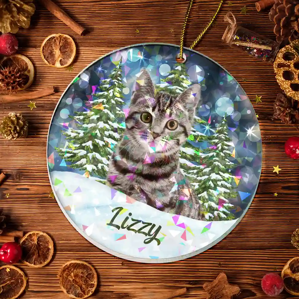 Custom Photo Dog Cat Pet Face - Personalized Holographic Acrylic Ornament - Image 6