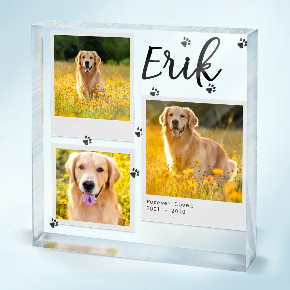 Custom Photo Dog Cat Pet Memorial - Personalized Square Shaped Acrylic Plaque - Image 2