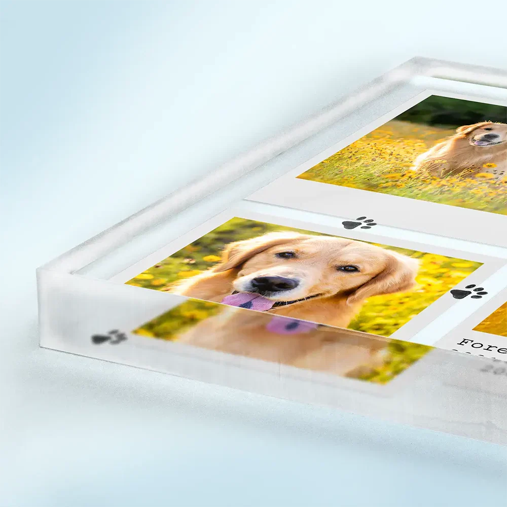 Custom Photo Dog Cat Pet Memorial - Personalized Square Shaped Acrylic Plaque - Image 3