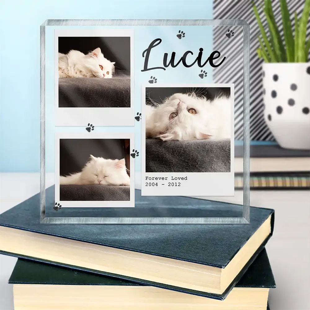 Custom Photo Dog Cat Pet Memorial - Personalized Square Shaped Acrylic Plaque - Image 4