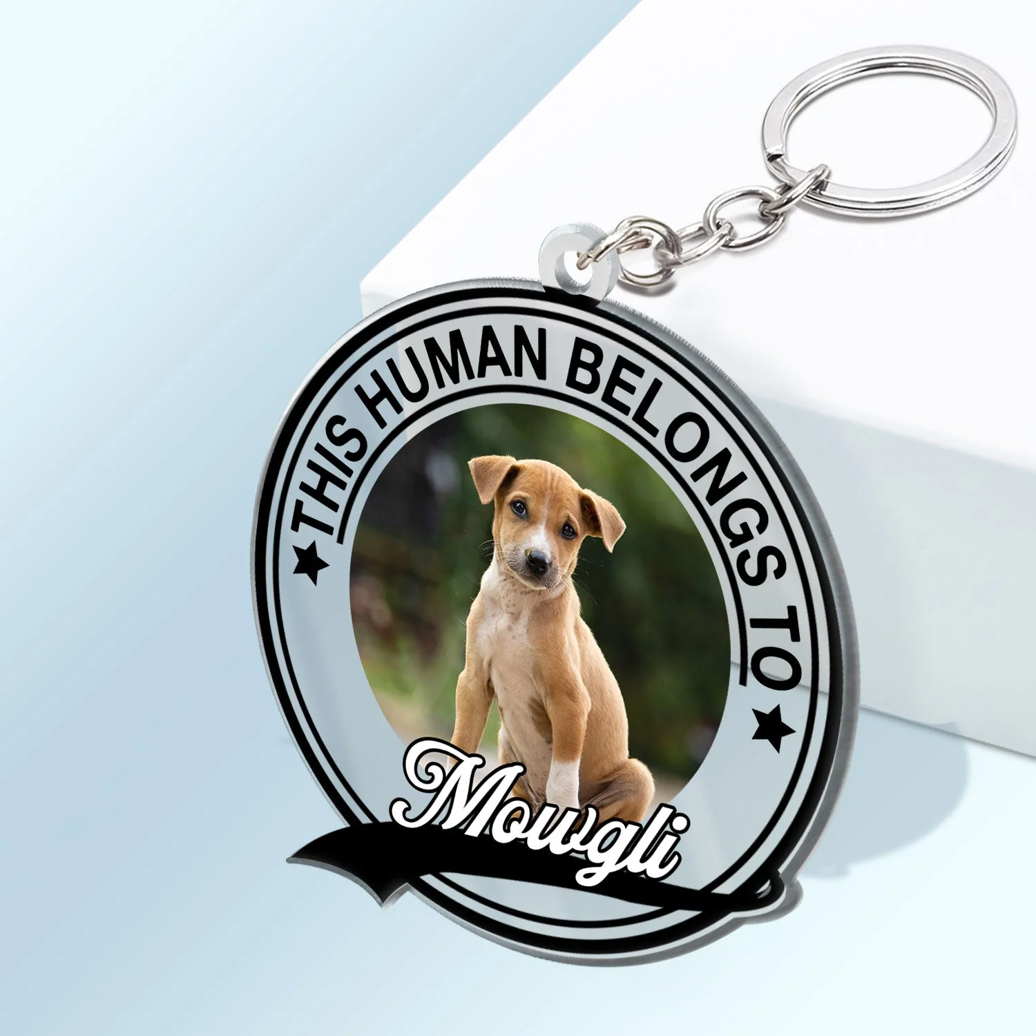 Custom Photo Dog Cat This Human Belongs To - Gift For Pet Lovers - Personalized Acrylic Keychain - Image 2