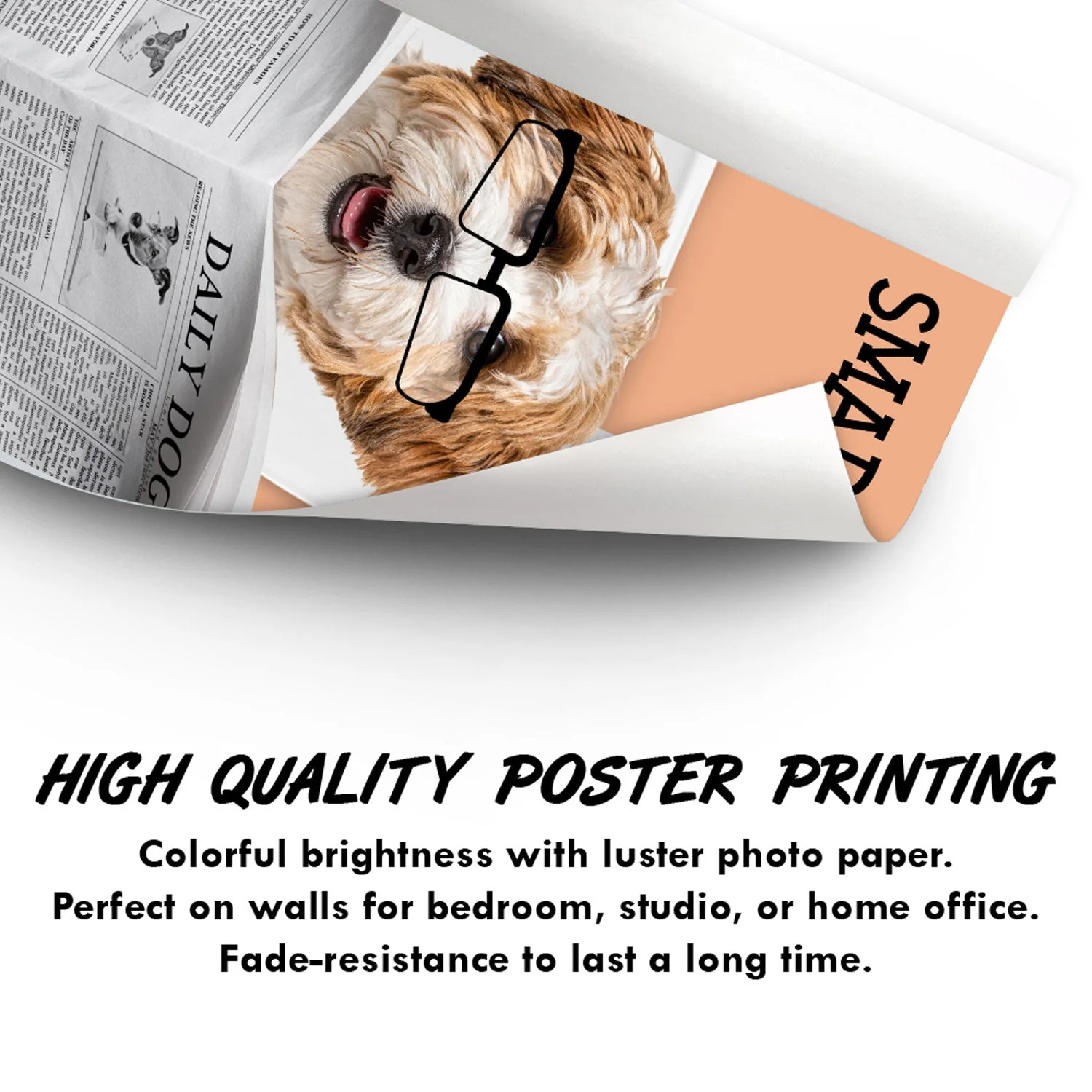 Custom Photo Dog Reading Newspaper - Funny Gift For Dog Lovers - Personalized Poster - Image 4