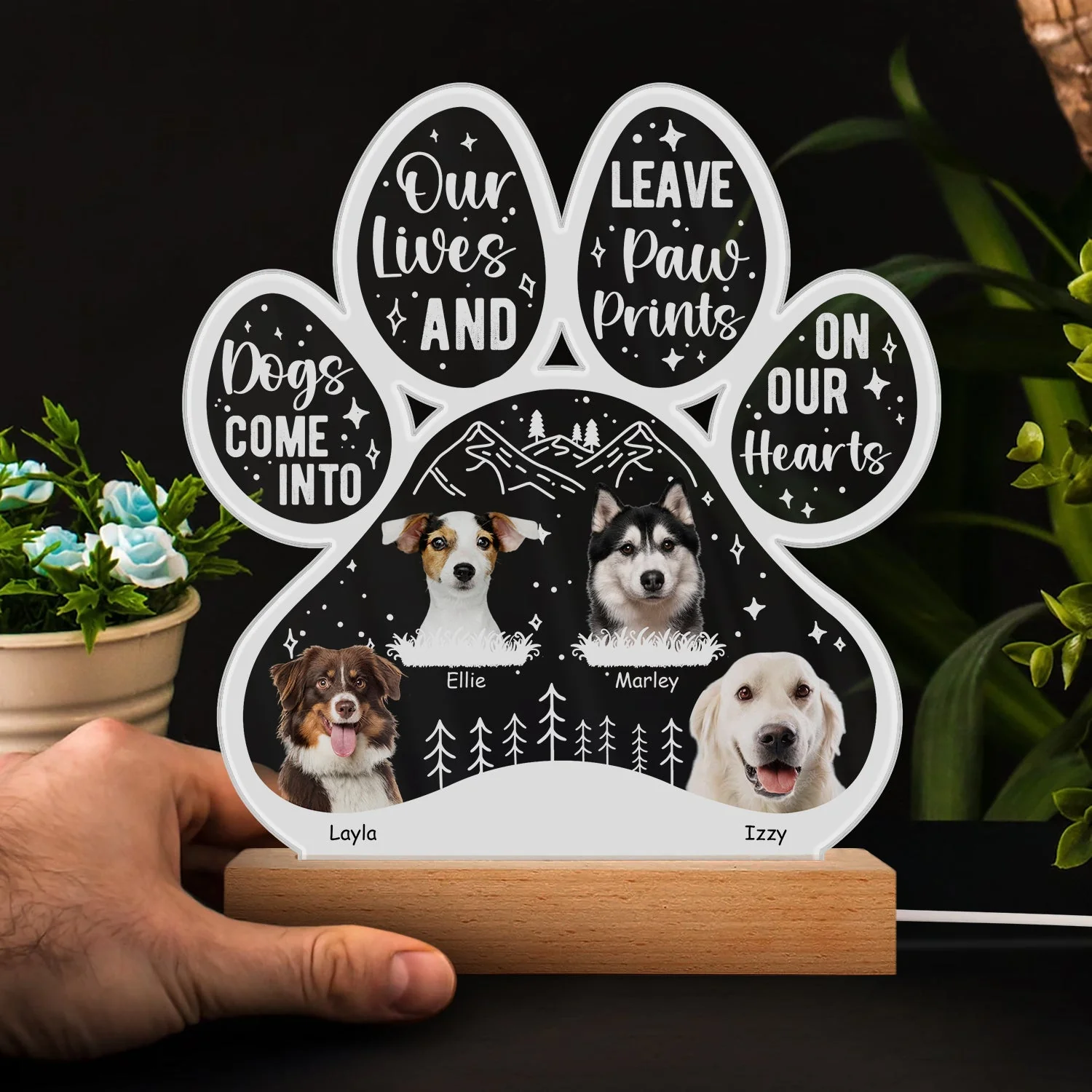 Custom Photo Dogs Come Into Our Lives - Grief, Sympathy, Memorial Gift For Family, Remembrance, Dog, Cat, Pet Owner - Personalized Custom 3D Led Light Wooden Base - Image 4