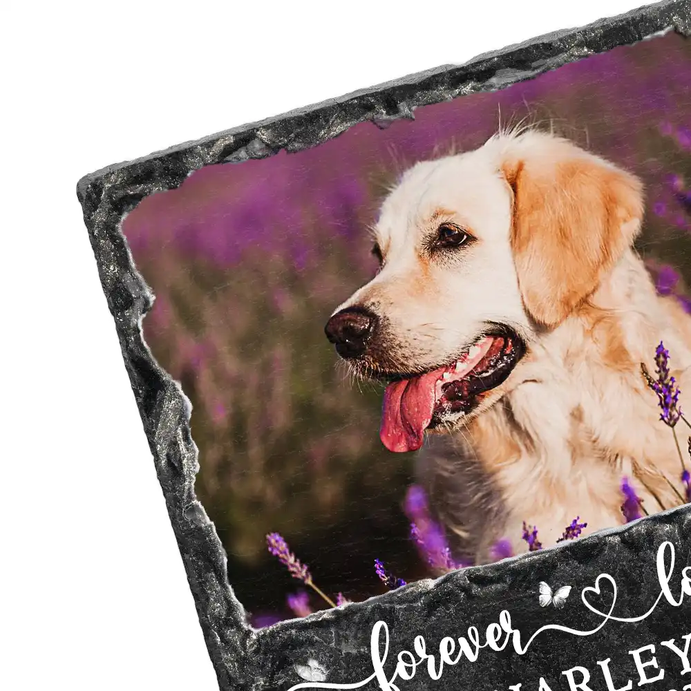 Custom Photo Forever In My Heart - Personalized Rectangle Memorial Garden Stone - Image 2