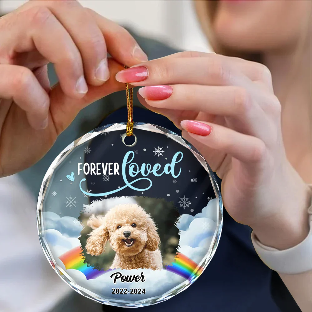 Custom Photo Forever Loved Pet Memorial - Personalized Circle Glass Ornament - Image 5
