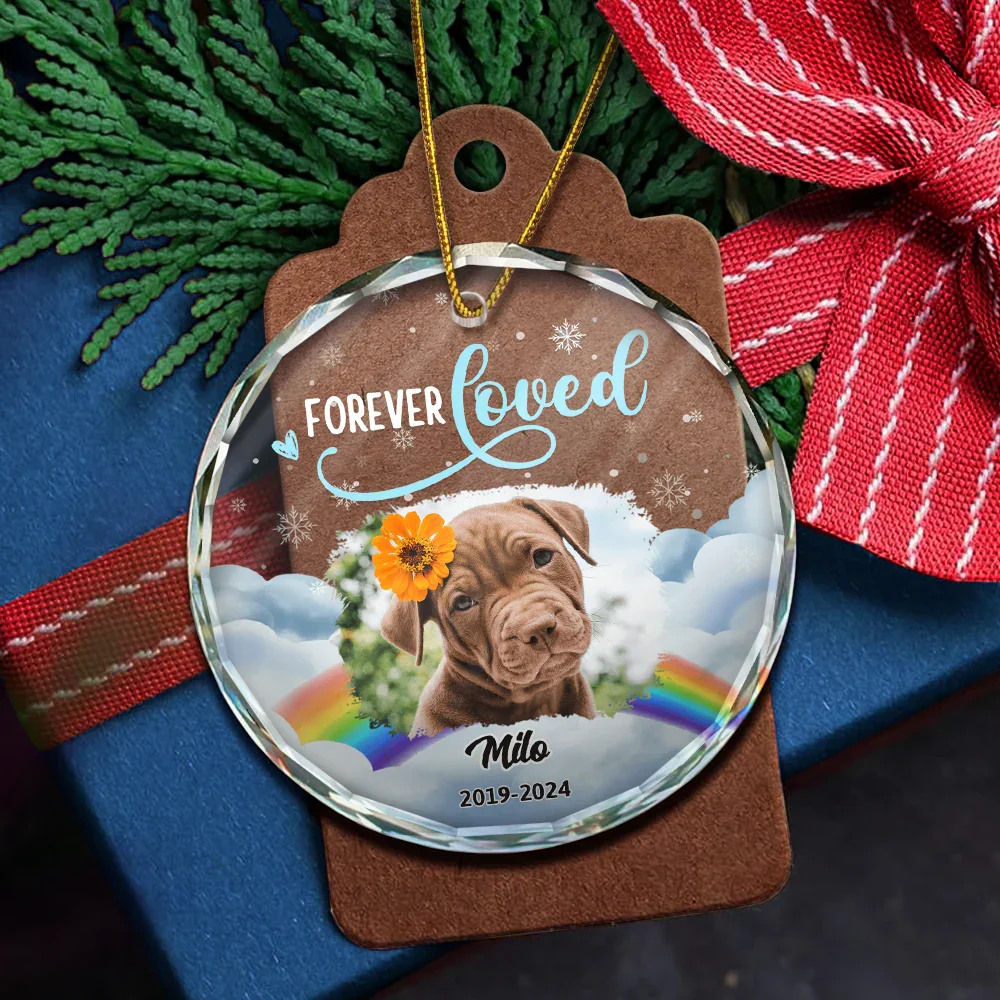 Custom Photo Forever Loved Pet Memorial - Personalized Circle Glass Ornament - Image 6