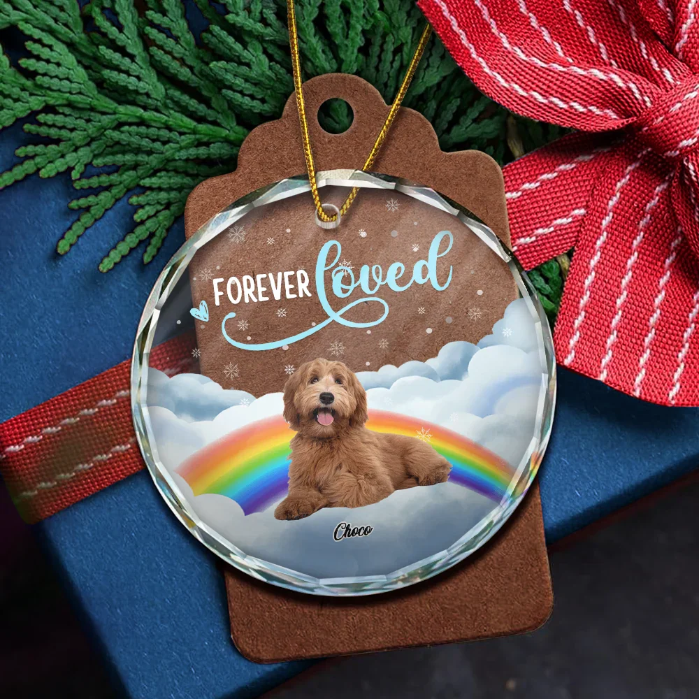 Custom Photo Forever Loved Ver 2 Pet Memorial - Personalized Circle Glass Ornament - Image 6