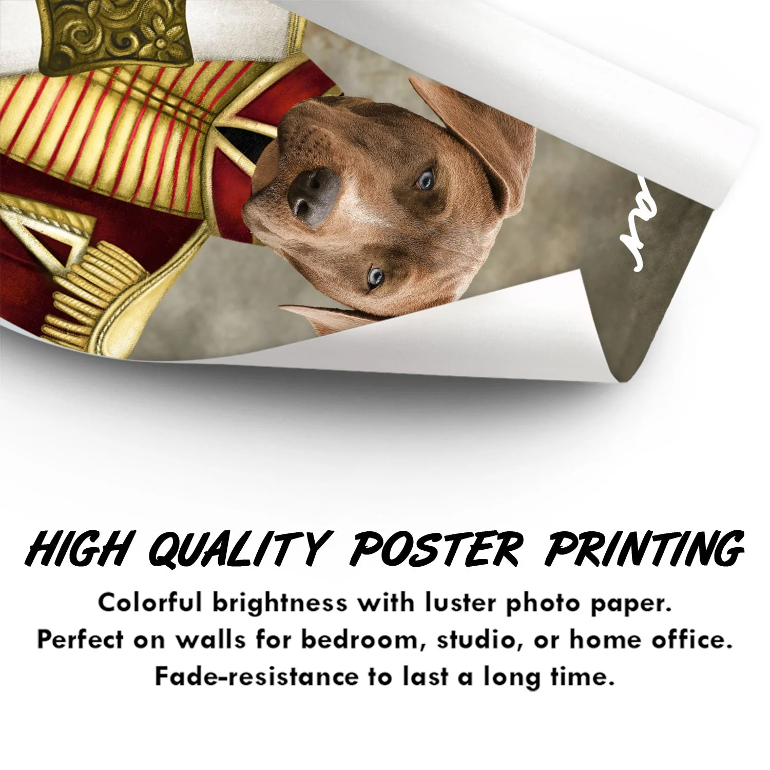 Custom Photo Funny Pet Portrait - Gift For Pet Lovers - Personalized Poster - Image 4
