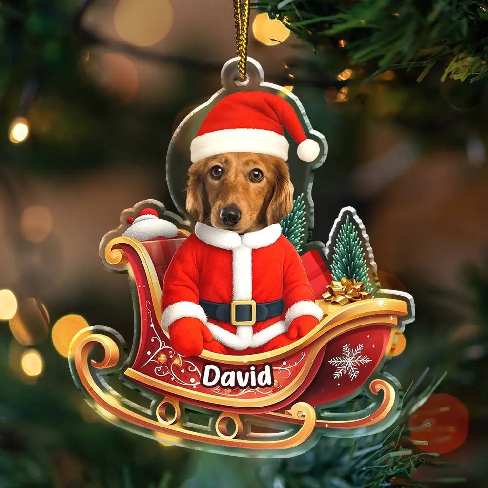 Custom Photo Funny Santa Face - Personalized Custom Shaped Acrylic Ornament - Image 5