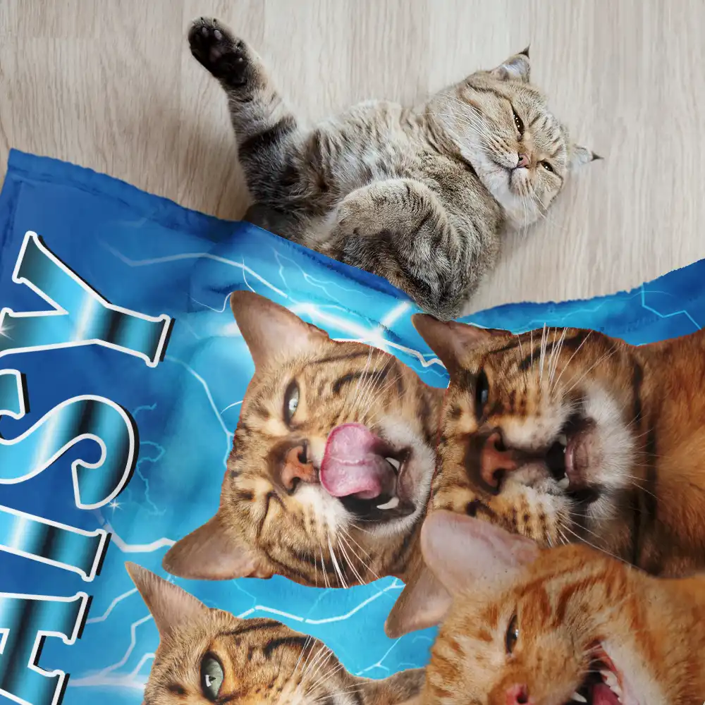 Custom Photo Funny Your Pets - Personalized Pet Blanket - Image 3