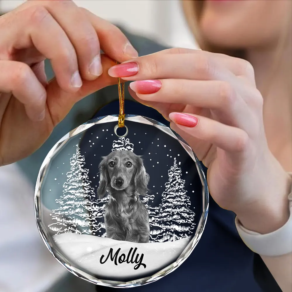Custom Photo Grayscale Dog Face Pet Memorial - Personalized Circle Glass Ornament - Image 5