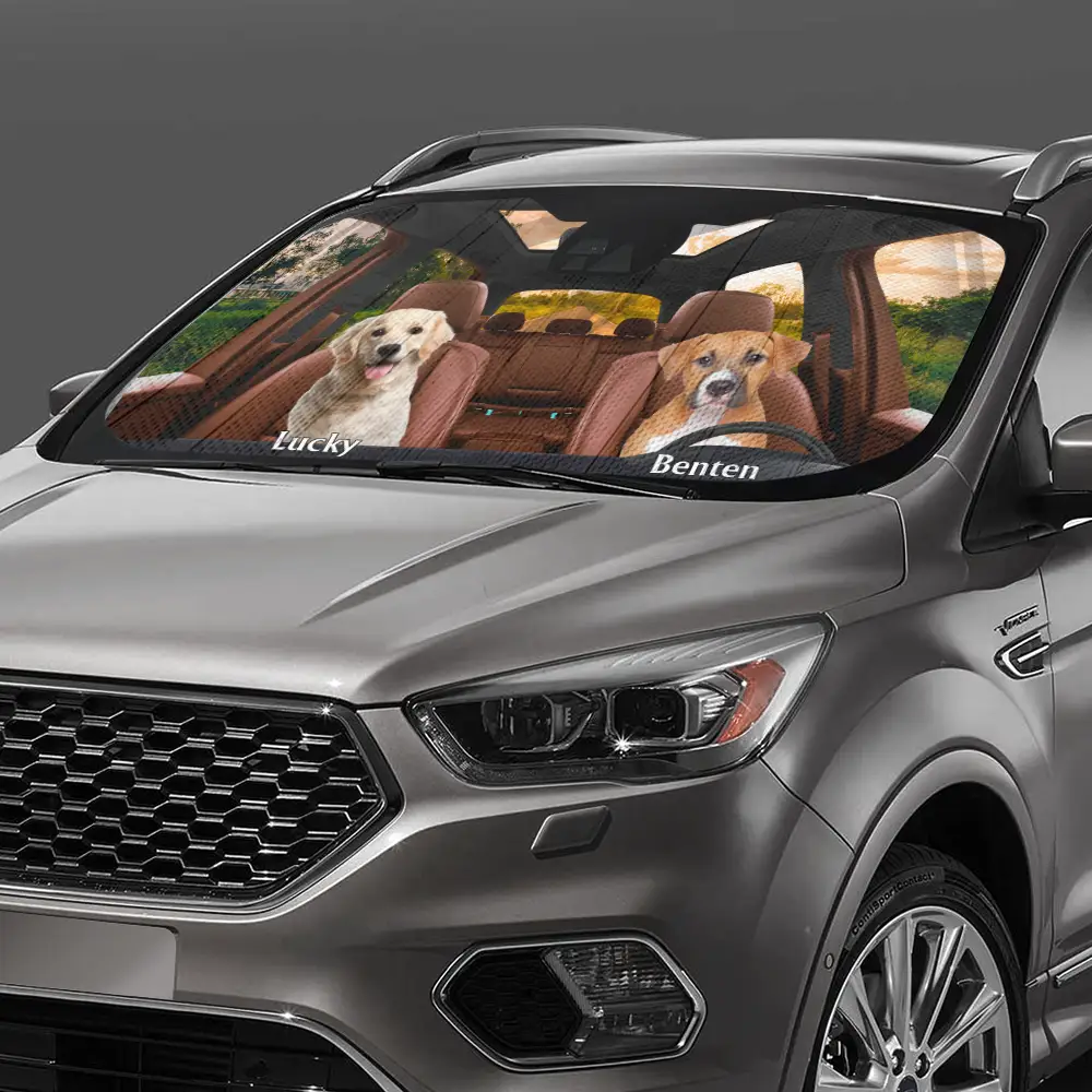 Custom Photo Have Fun Together - Personalized Auto Sunshade - Image 4