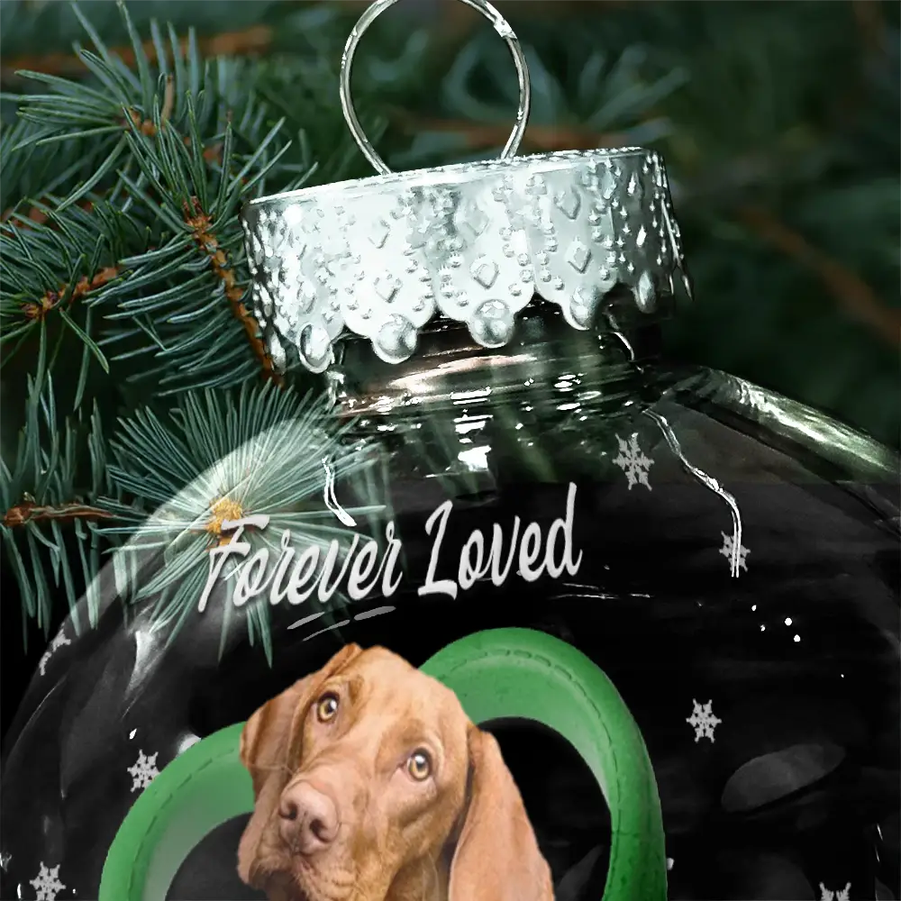 Custom Photo Heart-Shaped Collar With Bone Charm For Dog Lovers - Personalized Ball Ornament - Image 6