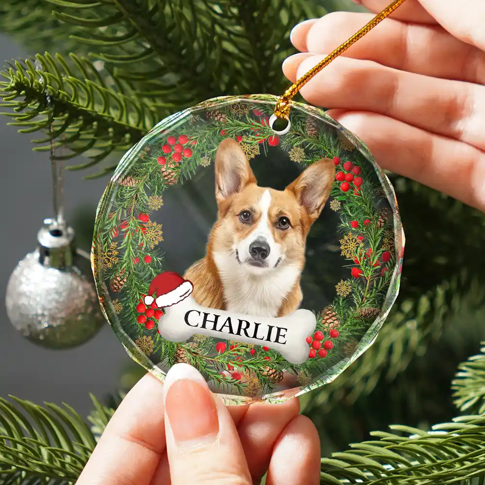 Custom Photo In Loving Memory Pet Memorial - Personalized Combo Circle Glass Ornament - Image 3