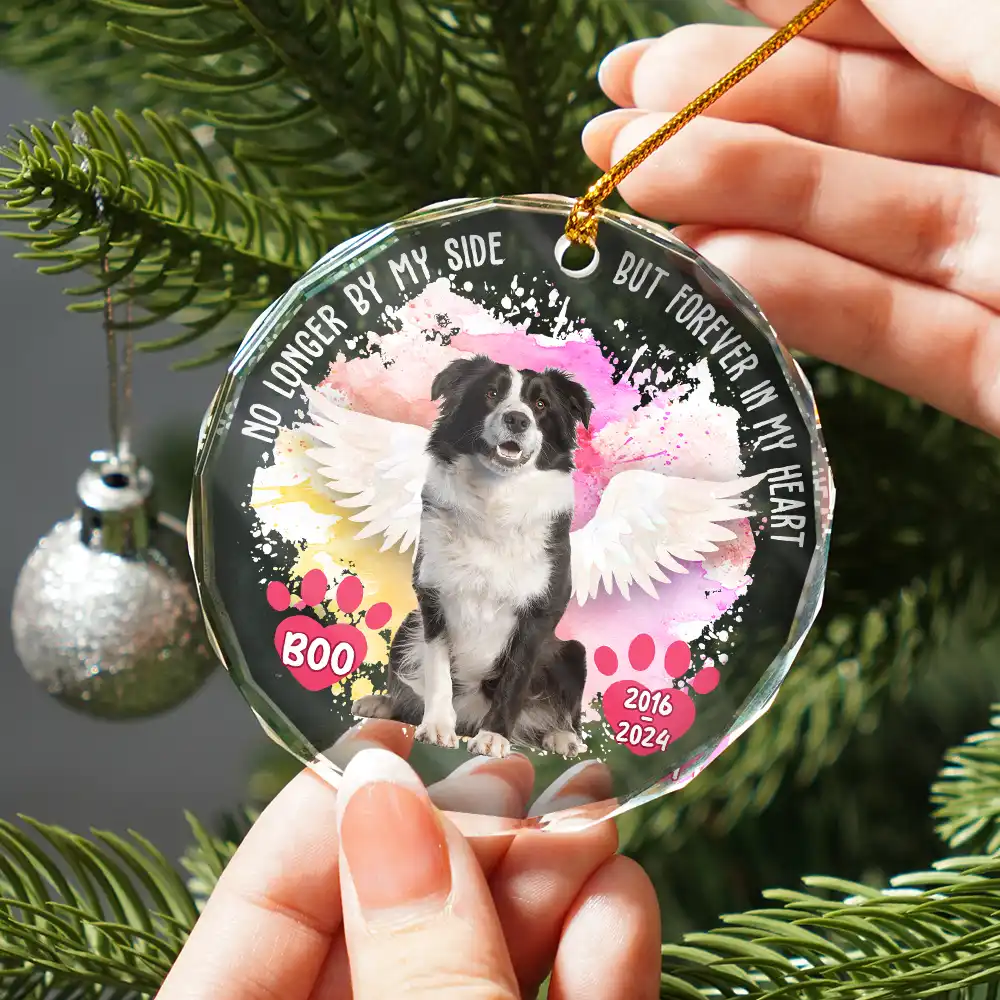 Custom Photo Memorial Dog Cat Favorite Hello & Hardest Goodbye - Personalized Circle Glass Ornament - Image 3