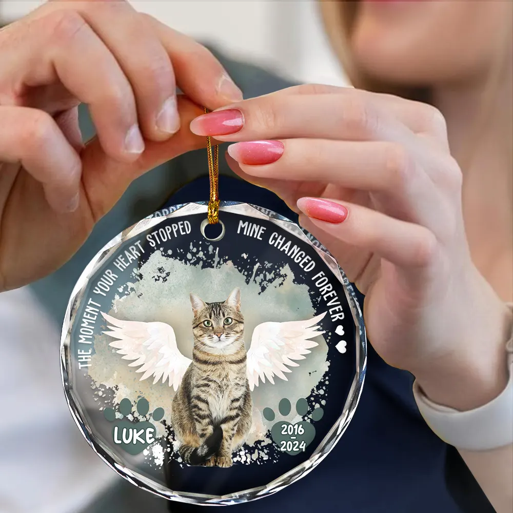 Custom Photo Memorial Dog Cat Favorite Hello & Hardest Goodbye - Personalized Circle Glass Ornament - Image 5