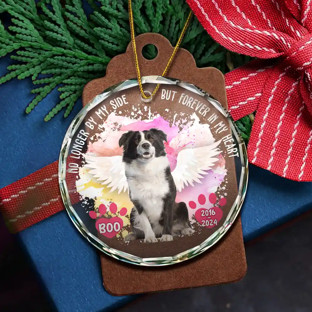 Custom Photo Memorial Dog Cat Favorite Hello & Hardest Goodbye - Personalized Circle Glass Ornament - Image 6