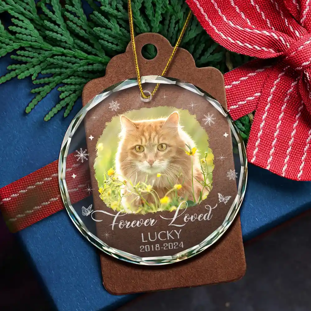 Custom Photo Memorial Dog Cat Loss Keepsake - Personalized Circle Glass Ornament - Image 5
