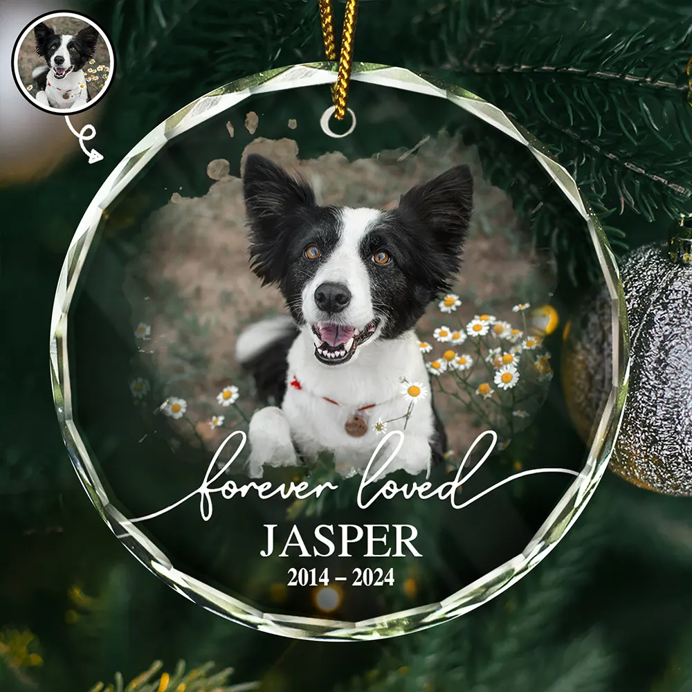 Custom Photo Memorial Pet Forever Loved - Personalized Circle Glass Ornament